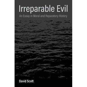 Irreparable Evil: An Essay in Moral and Reparatory History -- David Scott